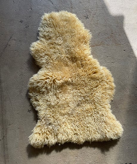 【USED】  Fur Rug ⑦/20211222-007