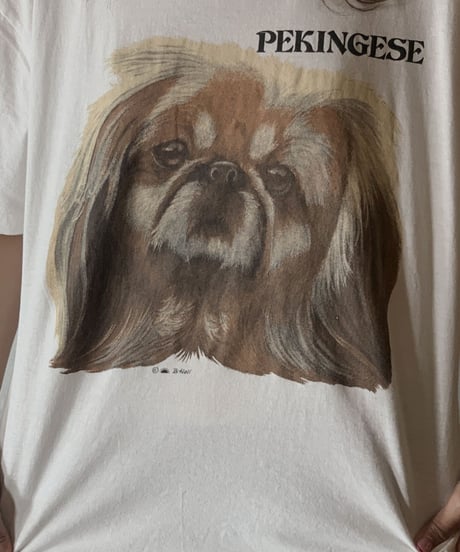 【USED】S/S T-shirt DOG⑨/210604-021