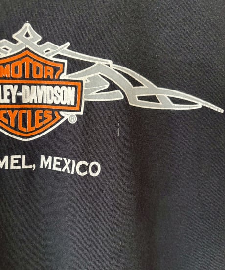 【USED】 HARLEY-DAVIDSON Tee / 260418-042