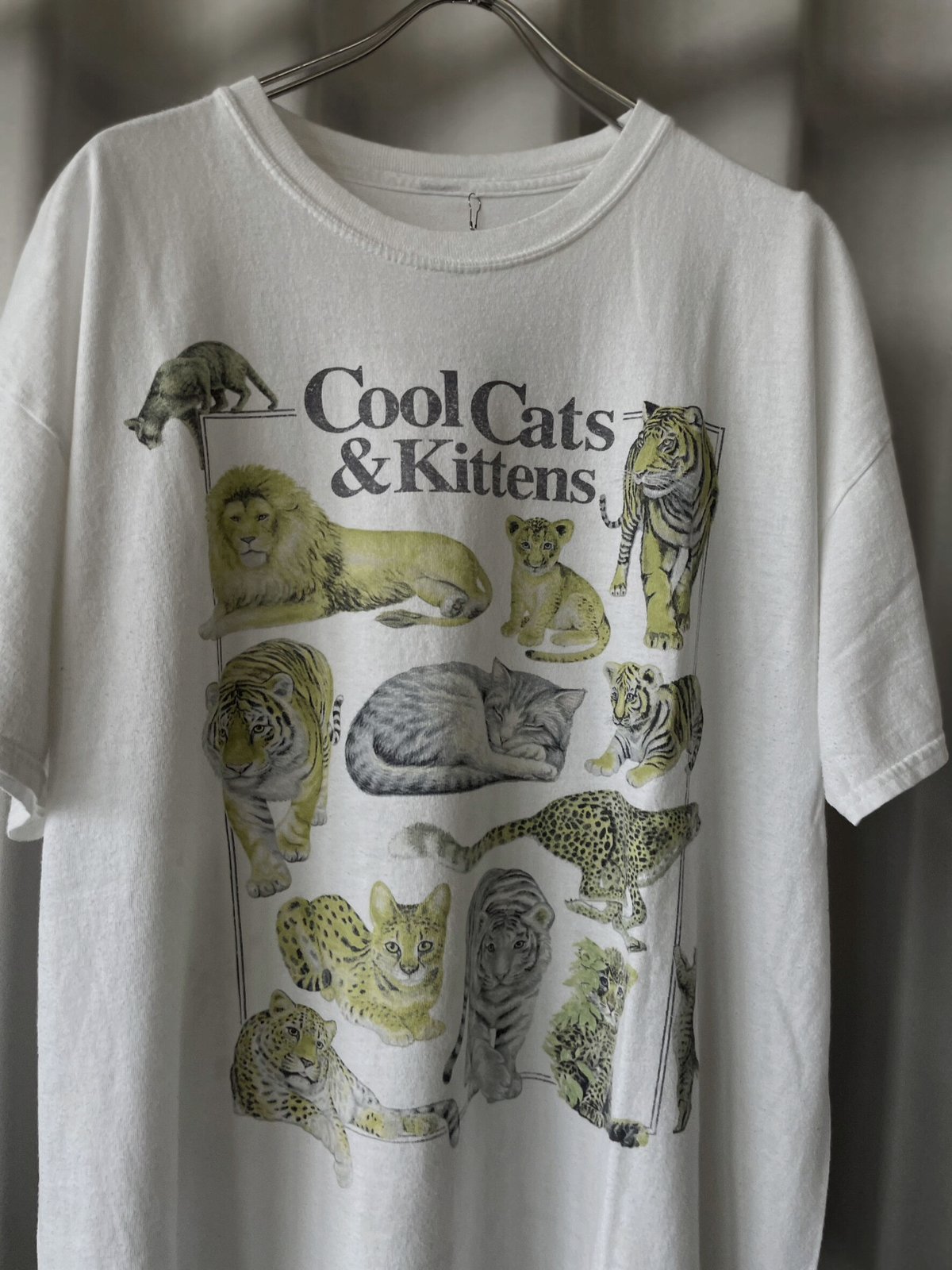 洋楽 Qyiet Cat Qyiet Cat Productions - That's All Right - YouTube