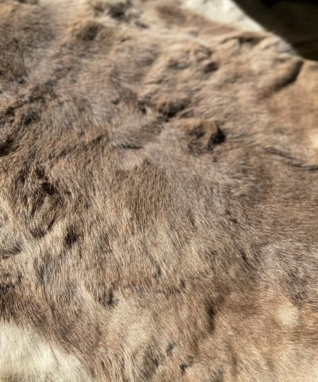 【USED】  Fur Rug ⑩/20211222-010