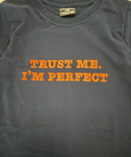 【USED】 RESIZED 90's TRUST ME. I'M PERFECT T-Shirt / 250802-001