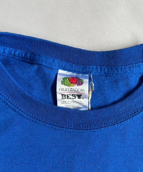 【USED】Fruit TAITANIC T-Shirt /240824-067