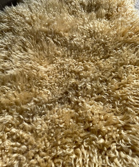 【USED】  Fur Rug ⑦/20211222-007