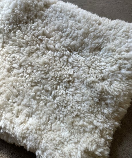 【USED】  Fur Rug ②/20211222-002