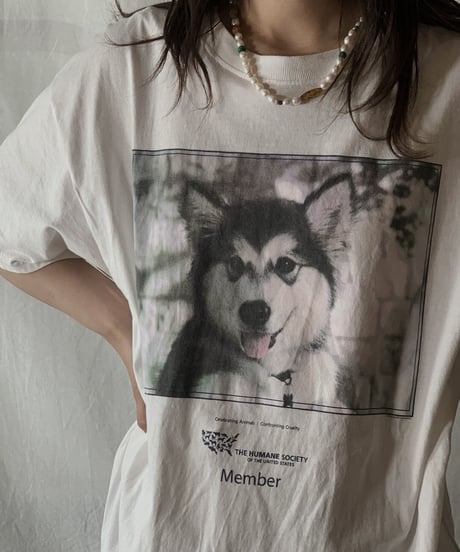 【USED】S/S T-shirt DOG① /210604-003
