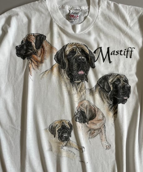 【USED】 Mastiff T-Shirt /240429-049