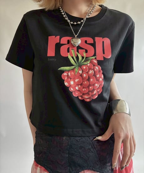 【USED】 Raspberry Print Short T-Shirt /250823-016