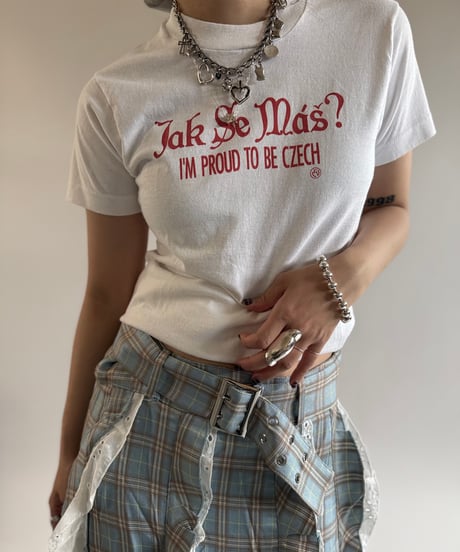 【USED】 Made in USA 80~90's Fruit of the Loom Jak Se Mas T-Shirt /250510-093