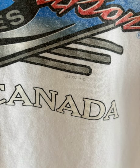 【USED】 HARLEY DAVIDSON Fire Pattern Sleeve L/S T-Shirt / 260607-002