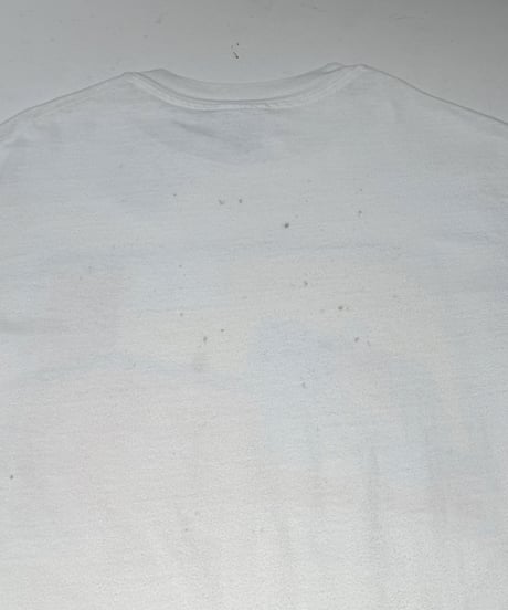 【USED】 Made in USA 94's Hanes EDDIE COKER T-Shirt /250621-033