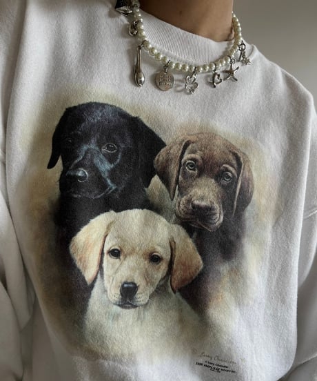 【USED】 Made in USA 90's Fruit of the Loom Dog Print Sweat /250118-015