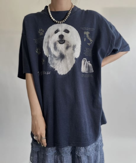【USED】 Animal T-shirt /220716-016
