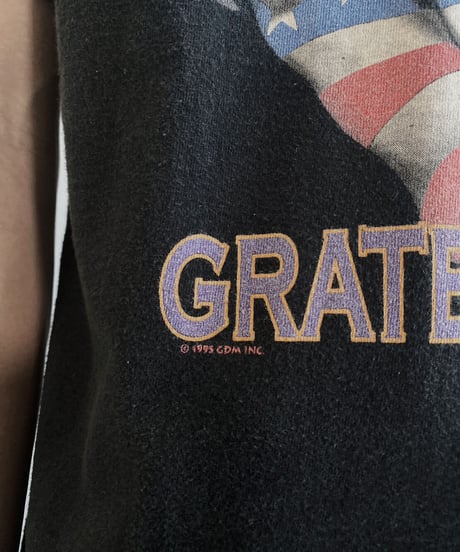 【USED】  MADE IN USA Band T-shirt GRATEFUL DEAD 1995s / 230703-002