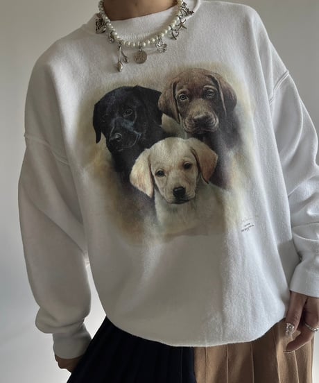 【USED】 Made in USA 90's Fruit of the Loom Dog Print Sweat /250118-015