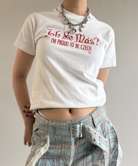 【USED】 Made in USA 80~90's Fruit of the Loom Jak Se Mas T-Shirt /250510-093