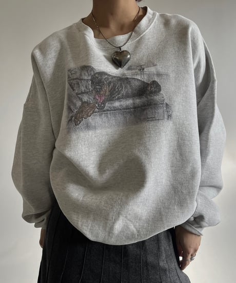 【USED】 90s Hanes Dog Print Sweat /250118-029