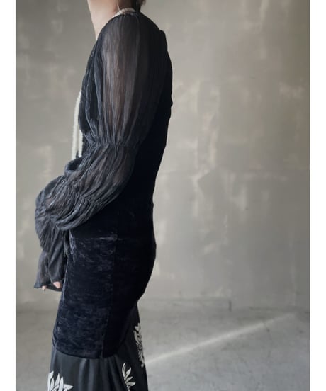【USED】  See-through Sleeve Velor Top/220220-008