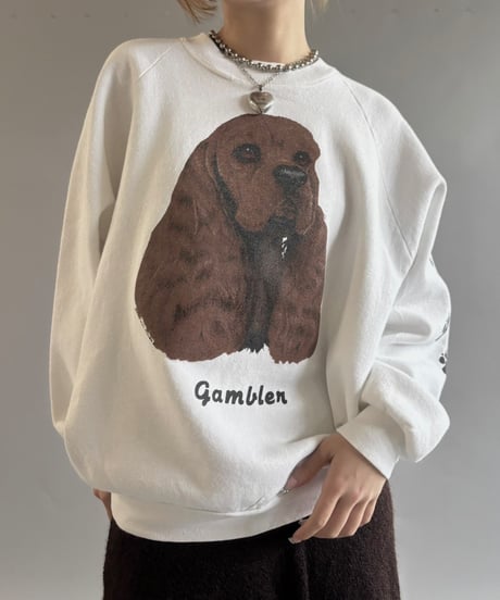 【USED】 MADE in USA FRUIT OF THE ROOM gambler Sweat / 250927-003
