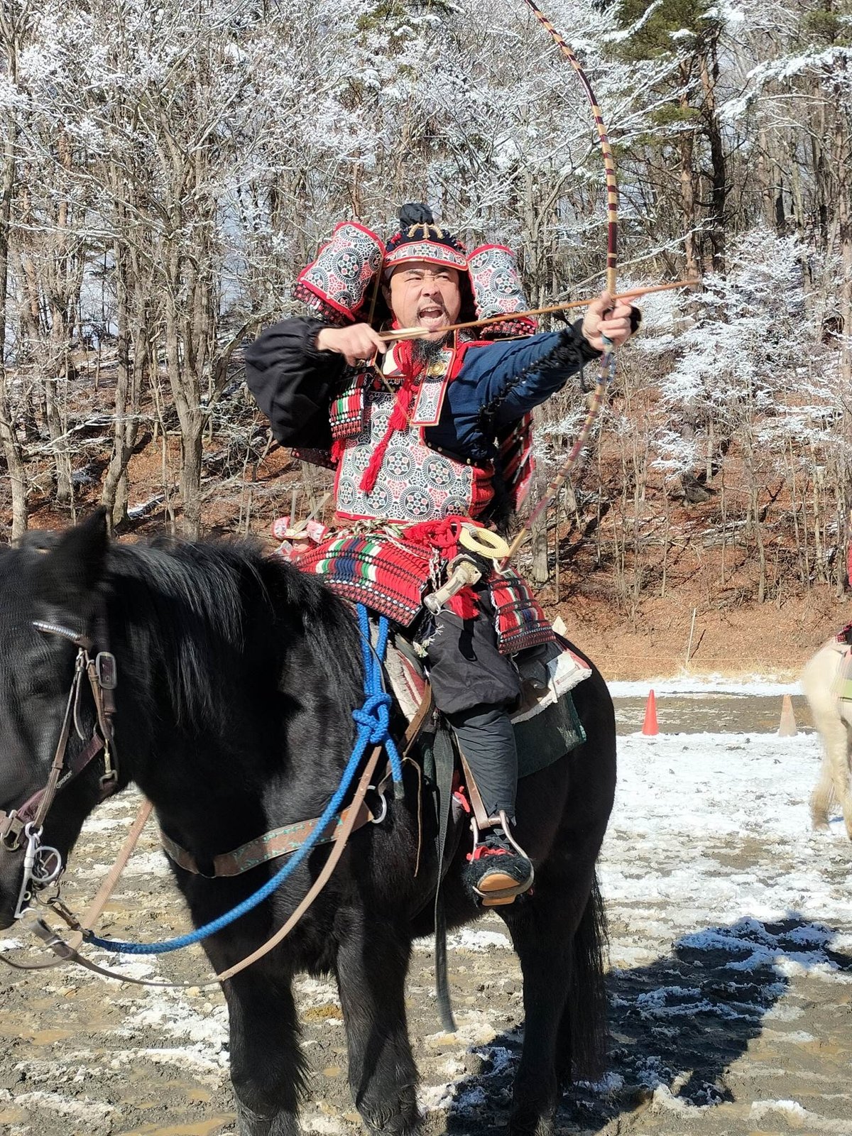 fit=scale-down,w=1200