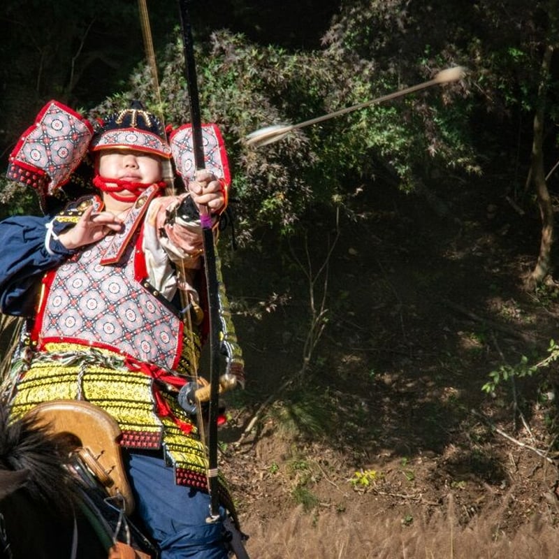 手づくり大鎧 -厳島神社所蔵 小桜韋黄返縅鎧(源為朝鎧) 風- | 鎌倉武士の店