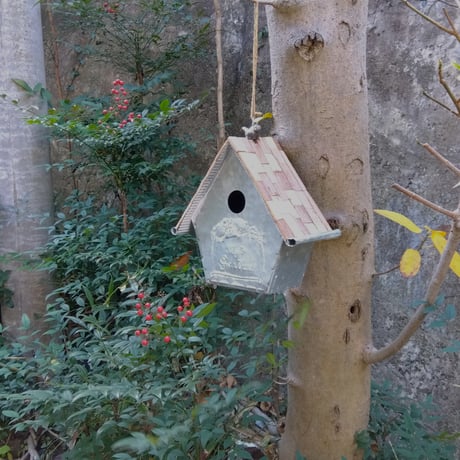 ブリキの鳥小屋