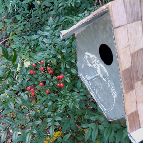 ブリキの鳥小屋