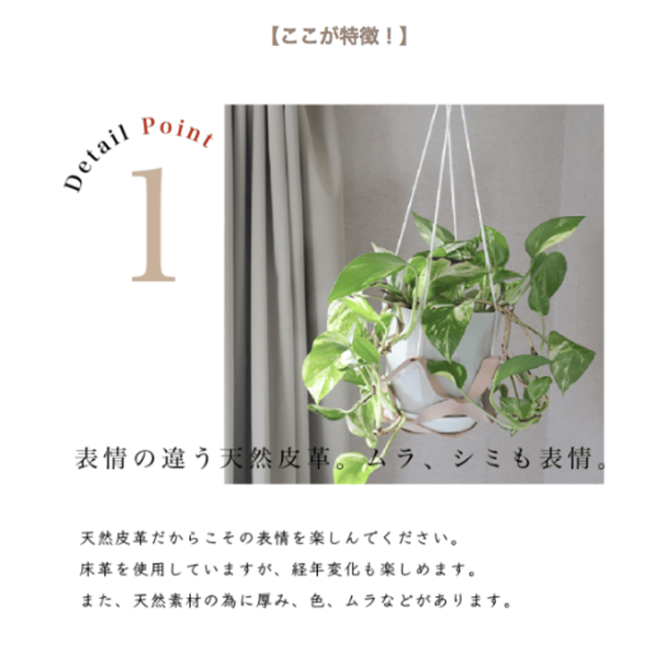 63d20700db33f674d1a07a48