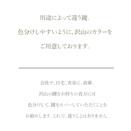 ★キーカバー-2021-106