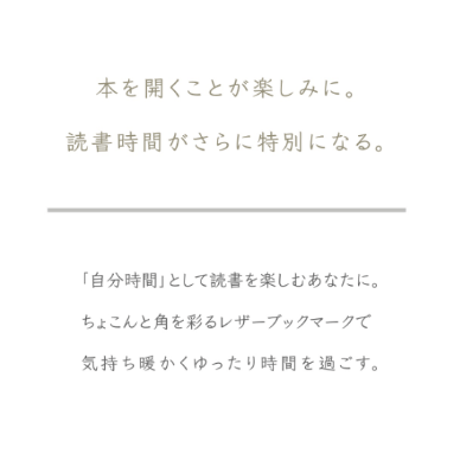 ★ブックマーク-2017-030