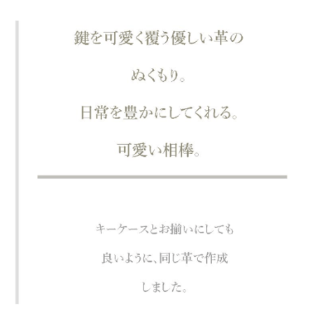 ★キーカバー-2021-106