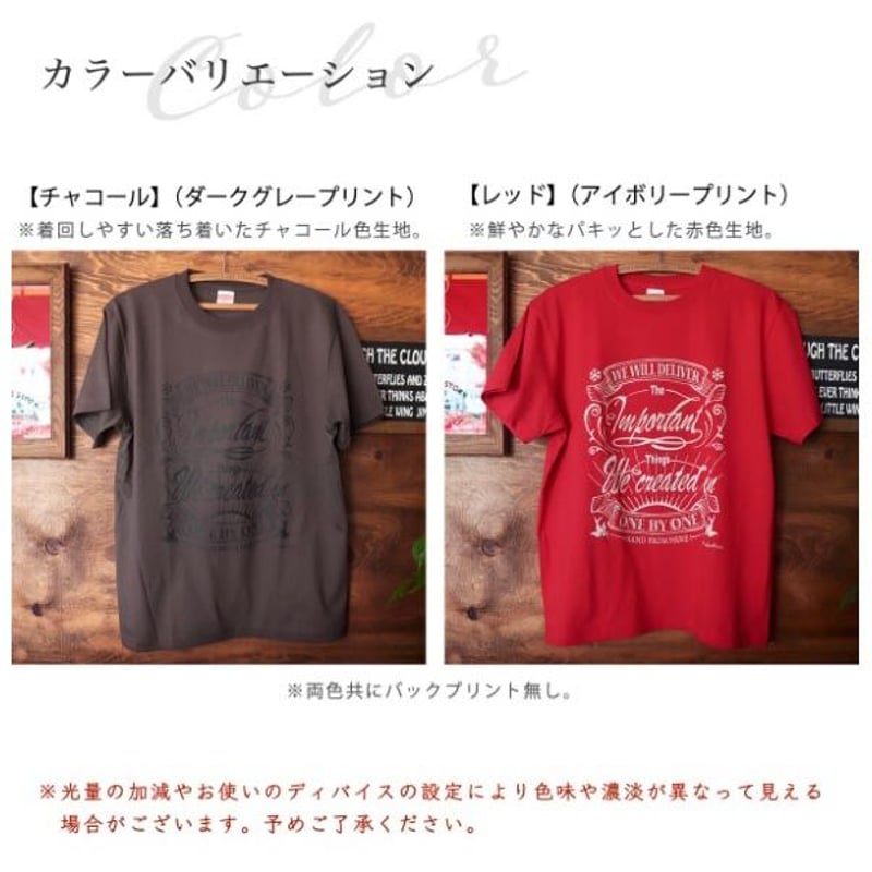 ☆クルーネックTシャツ/ONE BY ONE -2023-167 | FREAKS&CO. ☆クルーネックTシャツ/ONE BY ONE -2023-167 | FREAKS&CO.