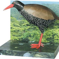 ヤンバルクイナ