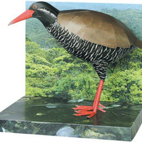 ヤンバルクイナ