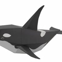 シャチ