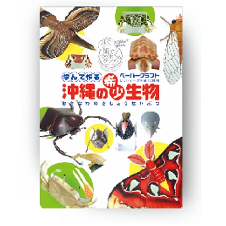 沖縄の希少生物