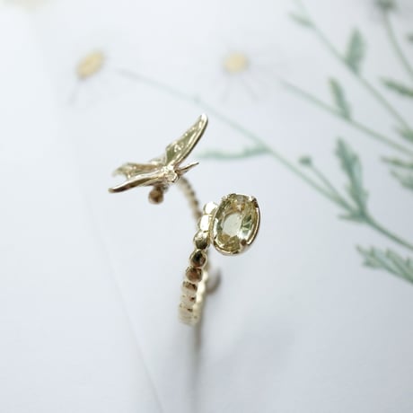 オオミズアオと月のリング(真鍮・イエローサファイア)【受注制作 1ヶ月以内に発送】