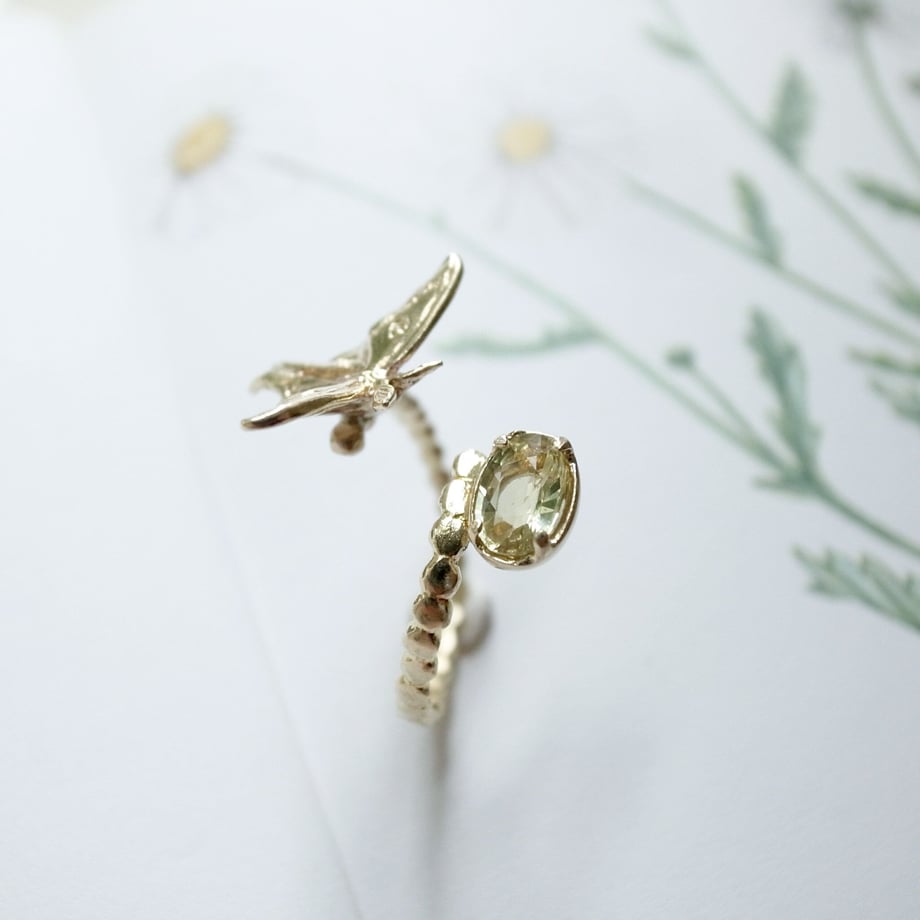 61f62df8c15c5a2e8d465918