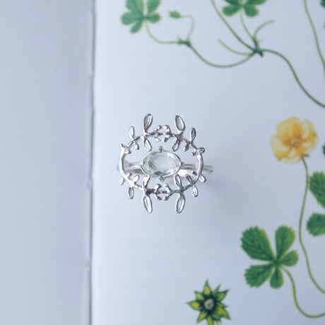 コニシキソウのフレームのリング(シルバー)【受注制作 1ヶ月以内に発送】