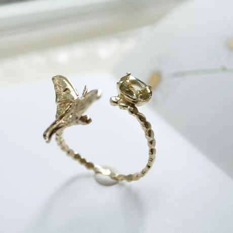 オオミズアオと月のリング(真鍮・イエローサファイア)【受注制作 1ヶ月以内に発送】