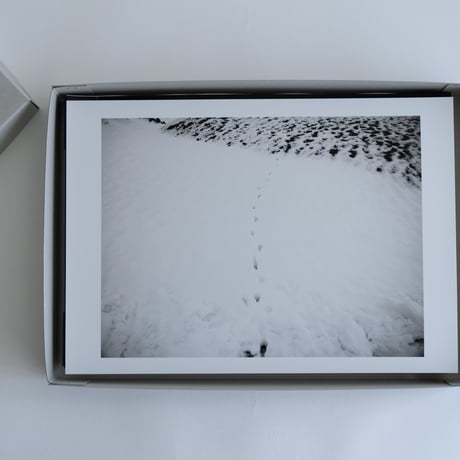 アーティストブック「つづいてゆくものの中で」A4サイズ プリントセット / Artist book "In the continuity" Print Set