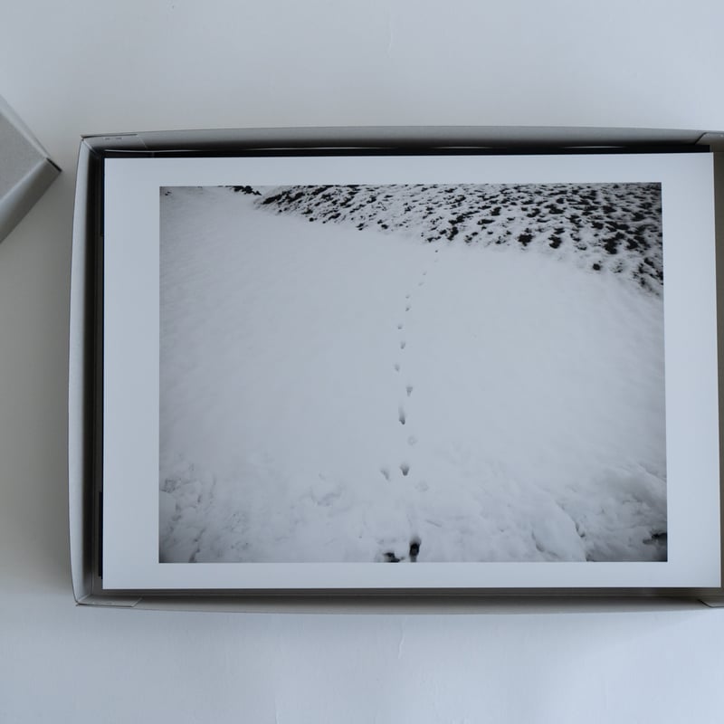 アーティストブック「つづいてゆくものの中で」A4サイズ プリント