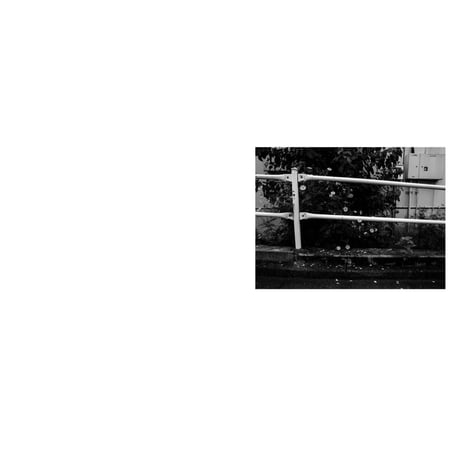 VIATOR / SWELL
