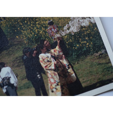 「さくら」ZINE / "cherry blossoms" ZINE