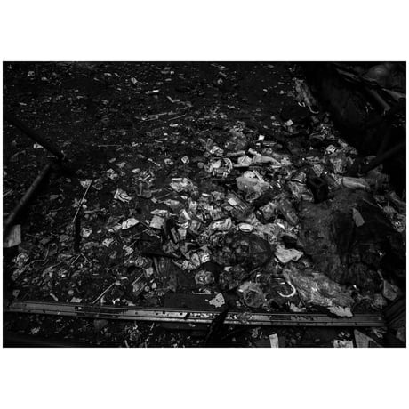 VIATOR / SWELL