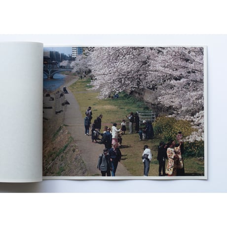「さくら」ZINE / "cherry blossoms" ZINE