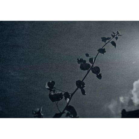 【初版】アーティストブック「アフターオール」/ Artist book “after all” First Edition