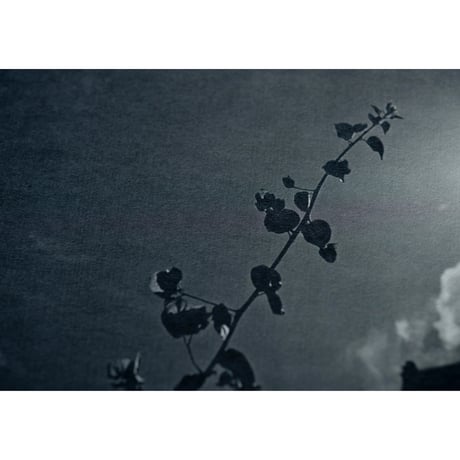 【第2刷】アーティストブック「アフターオール」/ Artist book “after all” Second Edition