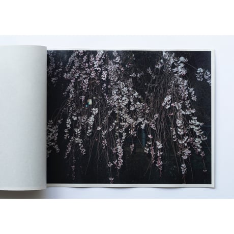 「さくら」ZINE / "cherry blossoms" ZINE