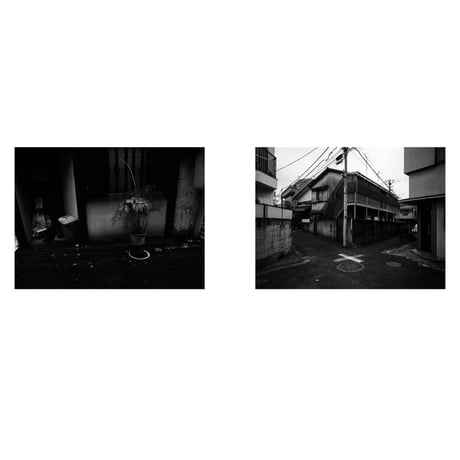 VIATOR / SWELL